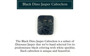 Black Matrix Dinosaur Jasper Rectangular Cabochon (25mm x 30mm)