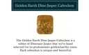 Golden Earth Dinosaur Jasper Rectangular Cabochon (25mm x 30mm)